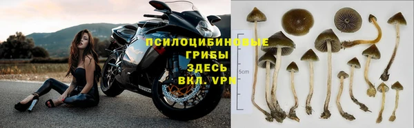 первитин Кукмор