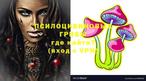 первитин Кукмор