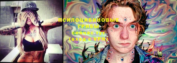 первитин Кукмор